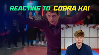 Karate black belt REACTS to Cobra Kai FIGHT SCENES [upl. by Welton]