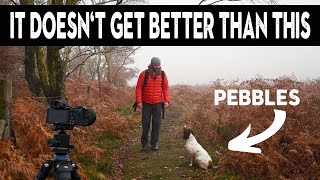 Stunning Landscape Photography with my Springer Spaniel Dog Pebbles [upl. by Ytirev998]