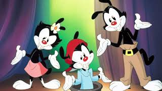 Animaniacs  Acquaintances Song [upl. by Enelec276]