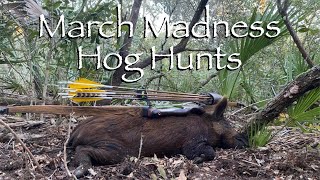 March Madness Hog HuntsTraditional Bowhunting [upl. by Airym]