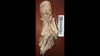 The Elongated Skulls Of Paracas Peru And Their DNA Update June 2019 [upl. by Chapin]