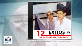 EL BLANCO LINDORO • Los Alegres De Capomos [upl. by Adiam876]