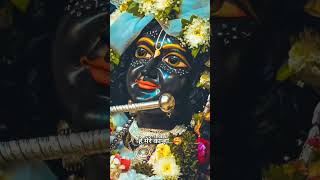 Mere kanha❤️🙏🌺Kanha status 🙏 kanha shorts shortvideo youtubeshorts harekrishna viral [upl. by Eiuol]