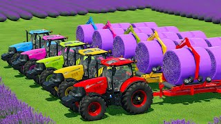 HARVEST LOAD amp MAKE LAVENDER BALES WITH CASE TRACTORS amp JOHN DEERE HARVESTERS  FS22 [upl. by Tommie]