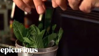 How to Make a Mint Julep Cocktail [upl. by Alleinnad271]