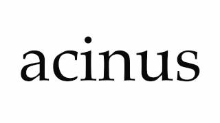 How to Pronounce acinus [upl. by Auqinahc]