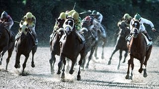 1991 Belmont Stakes  Hansel [upl. by Hteb893]