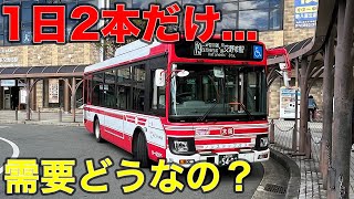 【廃止路線】まさかの空気輸送⁉︎運行本数が少ない京阪バスquot津田香里線19quotに乗ると（交野市→河内磐船） [upl. by Limemann]