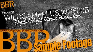 Wildgameplus WG500B Digital Night Vision Binoculars  Sample Footage [upl. by Peggir]