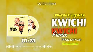 Kwichi Kwichi RemixLx Poacha feat Big Shan Official Audio [upl. by Carrissa]