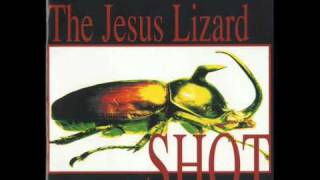 The Jesus Lizard  Trephination [upl. by Yrtnej]