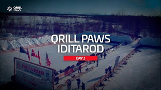 Iditarod Race Recap  QRILLPAWS 2021 [upl. by Nilkcaj]