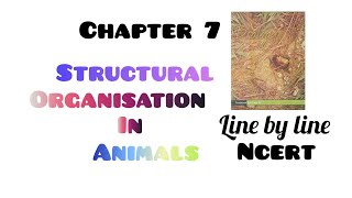 Structural organisation in animals ncert line by line Structural organisation in animals class 11 [upl. by Wistrup635]