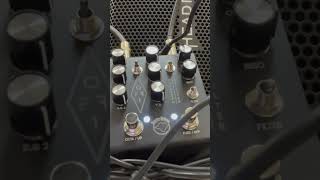 Mastro Valvola OFF1 Octave Fuzz Filter pedalSchecter Hellraiser CVI baritone guitar heavy riff [upl. by Lajes213]