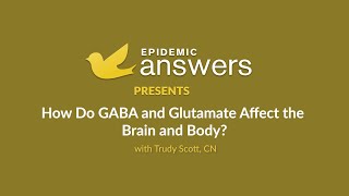 How Do GABA and Glutamate Affect the Brain and Body with Trudy Scott CN [upl. by Ahtnama]