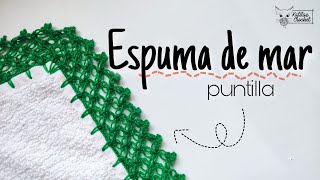 FÁCIL y RÁPIDA puntilla para toallas de mano 🧶  HERMOSA para emprender  Puntada Espuma de Mar [upl. by Ojybbob]