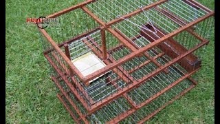 Trampera Multicaptura Sistema Molino quotSpiritquot  Multi Catch Bird Trap [upl. by Nageam]