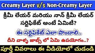 Creamy Layer vs Non Creamy Layer అంటే ఏమిటి How to Apply Non Creamy Layer Certificate in telugu [upl. by Attikin]