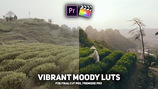 FREE Crazzyy Vibrant Moody LUTs for Premiere Pro Final Cut Pro Da Vinci etc [upl. by Darrel556]