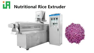 Purple Sweet Potato Rice Nutritional Rice Production nutritionalrice riceextruder nutrientrice [upl. by Madea]