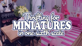 Thrift with Me for Miniatures for Dollhouses and Dioramas TIPS [upl. by Grassi690]