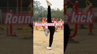 Mikey’s kick🔥round house kick tutorial😱 fypviral [upl. by Clite]