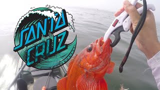 Kayak Fishing Santa Cruz Dolphins rockfish and Halibut [upl. by Krissy139]