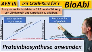 Proteinbiosynthese – Anwendungsaufgaben 1b – AFB III  Lösungsvorschlag  BioIxi  BioAbi  Best of [upl. by Bobby197]