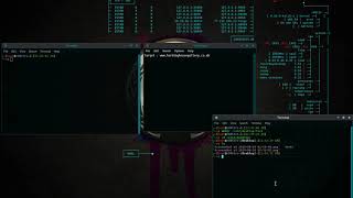 How to use skipfish in kali linux [upl. by Ynohtn]