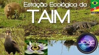 Taim  Reserva Ecológica  Estação Ecológica  RSBrasil  Taim Ecological Station [upl. by Attem]