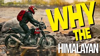 Why The Himalayan  2022 Royal Enfield Himalayan  Ol Man Ronin S5E11 [upl. by Acireh621]