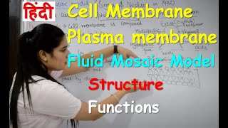 Cell Membrane Anatomy amp Physiology in Hindi  Fluid Mosaic Model  Components  Plasma Membrane [upl. by Eeryk649]