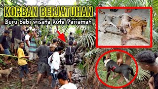 TRAGIS❗SERANGAN BALIK BABI HUTAN GUGURKAN TIGA EKOR ANJING PEMBURU  Buru Babi Wisata Kota Pariaman [upl. by Salene]