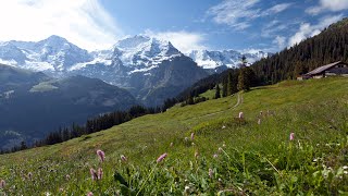 Switzerlands Jungfrau Region Best of the Alps [upl. by Carrel974]