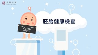 【胚胎職人234】胚胎的健康檢查 [upl. by Mandeville]