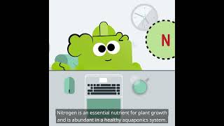 The Nitrogen Cycle  The Magic of the System Introduction to Aquaponics What is Aquaponics [upl. by Ravens]