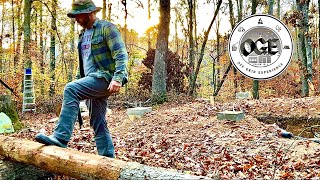 Building a Hardwood Log Cabin  Slow and Steady Progress  Ep 3 [upl. by Nauqahs]