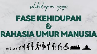 Fase Kehidupan dan Rahasia Umur Manusia [upl. by Eb653]