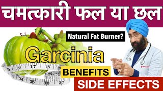 Does Garcinia Cambogia Works for Weight Loss  Natural Fat Burner  Side Effects amp Benefits [upl. by Stegman]