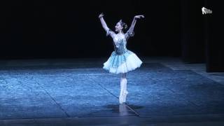 Scuola Balletto del Sud  variazione di Coppelia  2016 [upl. by Rento]