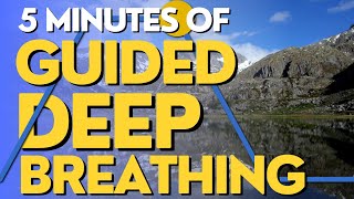 Guided Deep Breathing Exercise for Anxiety Relief [upl. by Avihs506]