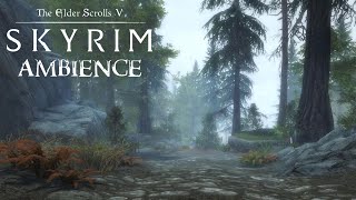 Skyrim Ambience  A Walk in the Rain from Riverwood to Ivarstead [upl. by Killoran931]