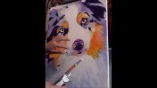 DawgArt  Australian Shepherd  Speed paint [upl. by Ellertal475]