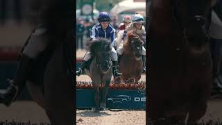 Shetland Pony Grand National at Royal Windsor [upl. by Yrocej]