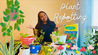 A Day Of Plant Care🌱🇦🇪  A Positive Day  Anjali Sreedharan  Malayalam Vlog  Aesthetic  Dubai🇦🇪 [upl. by Groh813]