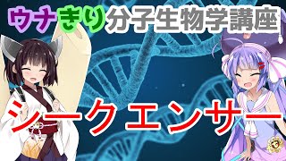 ウナきり分子生物学講座「塩基配列のしらべかた」 [upl. by Adiaros]