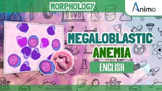 Megaloblastic Anemia  Histo pathology  RBC Morphology  English [upl. by Ynnavoeg197]