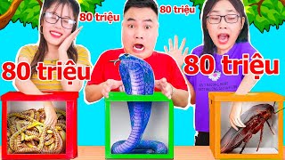 THU HIỀN TV VS HƯNG TINO TV  Thử Thách Chiếc Hộp Bí Ẩn Thắng 80 Triệu [upl. by Ezmeralda]