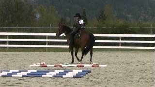 Horse Show at Saanich Fair Grounds [upl. by Ahsinrats]