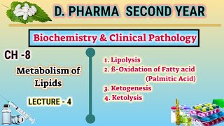 Lipid metabolism  CH8  L4  Biochemistry and clinical pathology  DPharm second year [upl. by Sydalg240]